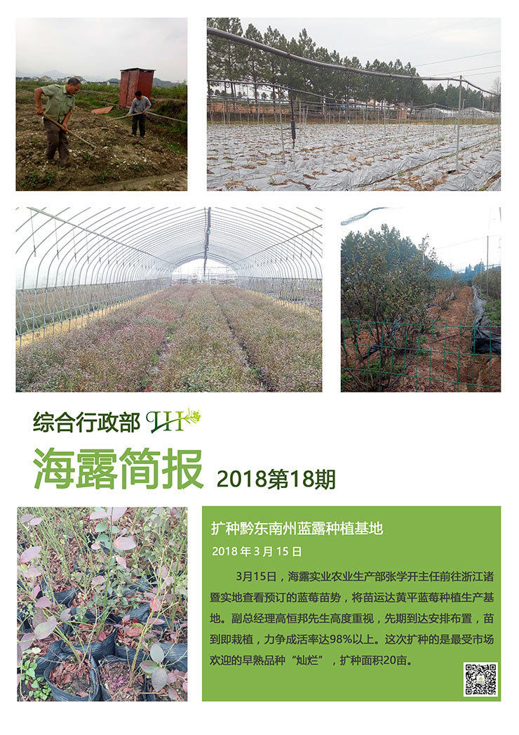 首页|bifa必发集团中国官方网站