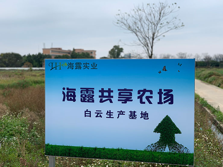 首页|bifa必发集团中国官方网站