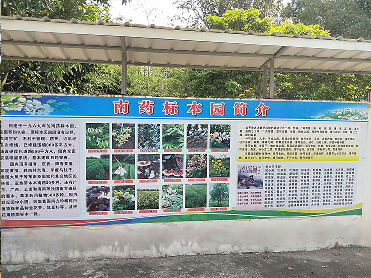 首页|bifa必发集团中国官方网站