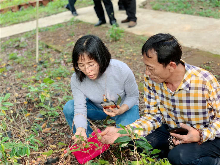 首页|bifa必发集团中国官方网站