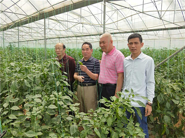 首页|bifa必发集团中国官方网站