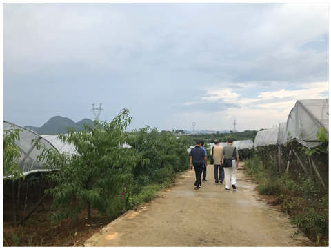 首页|bifa必发集团中国官方网站