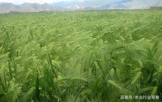 首页|bifa必发集团中国官方网站