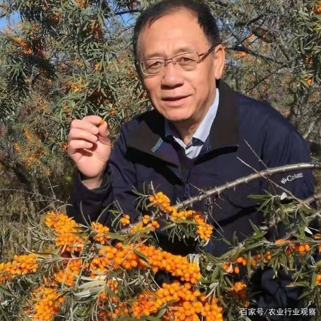首页|bifa必发集团中国官方网站