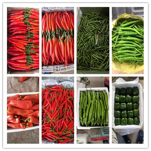 首页|bifa必发集团中国官方网站