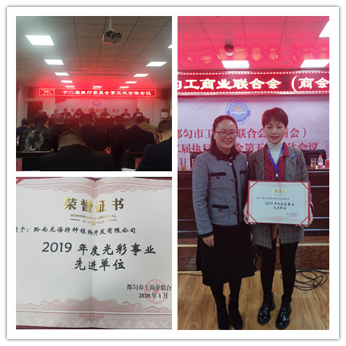 首页|bifa必发集团中国官方网站