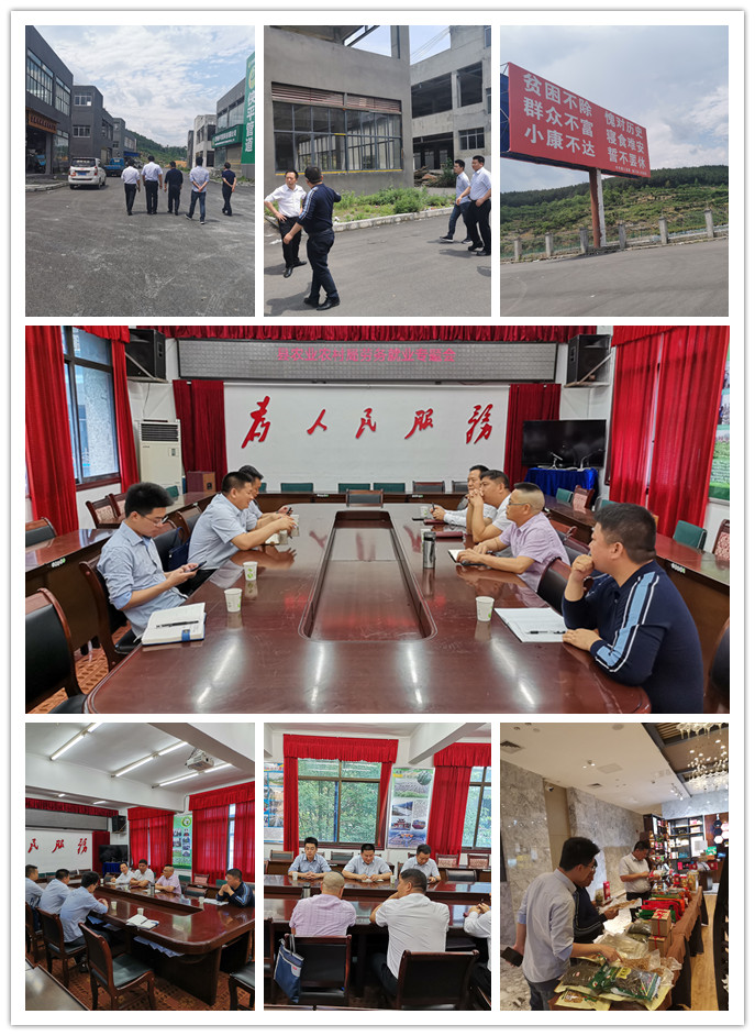 首页|bifa必发集团中国官方网站
