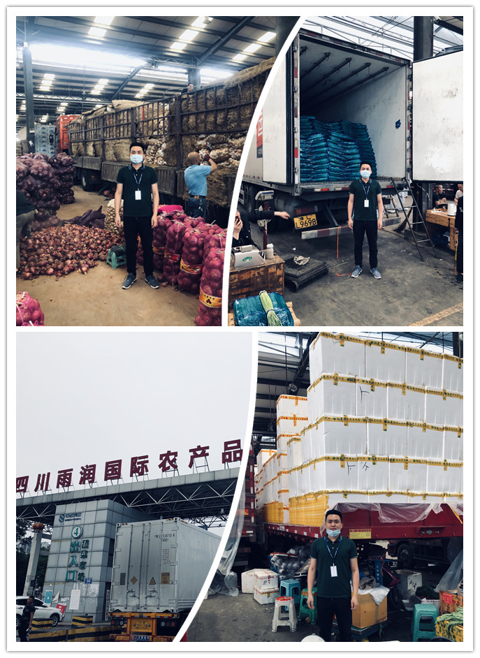 首页|bifa必发集团中国官方网站