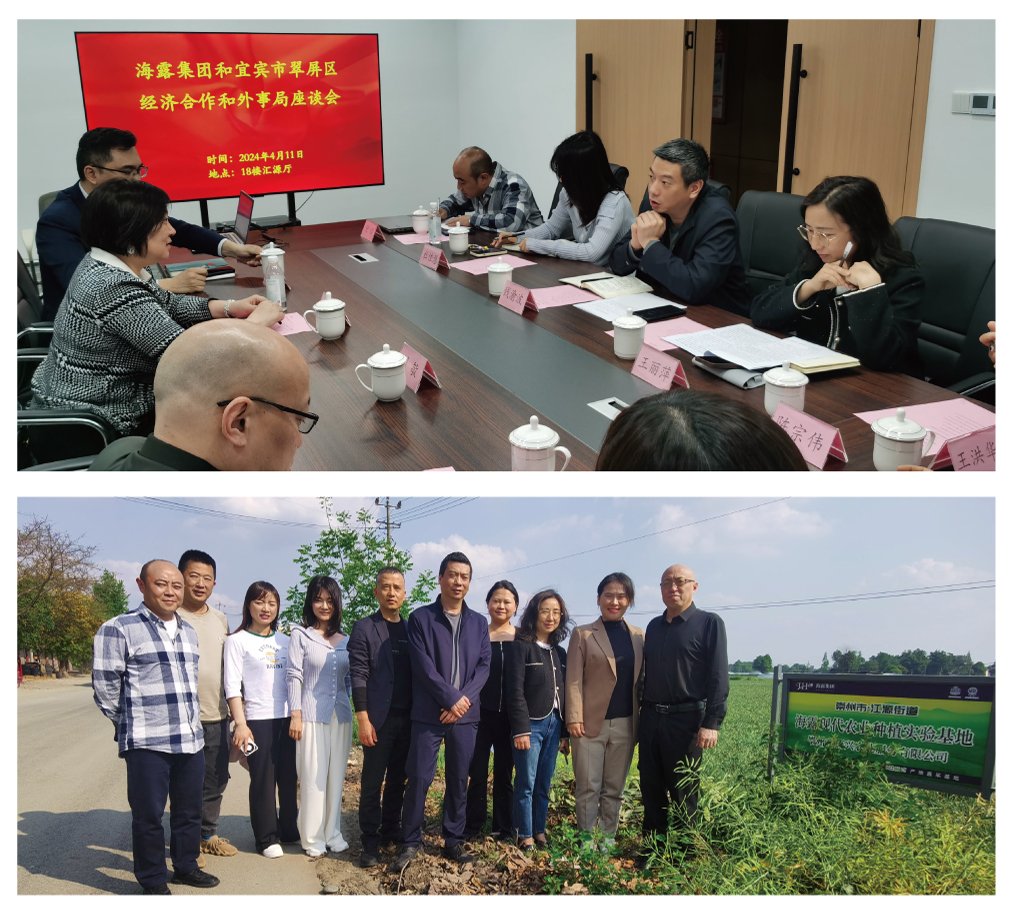 首页|bifa必发集团中国官方网站