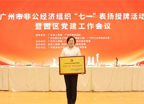 标杆引领，荣誉升级！集团党支部荣膺广州市非公有造经济组织“双强六好”标