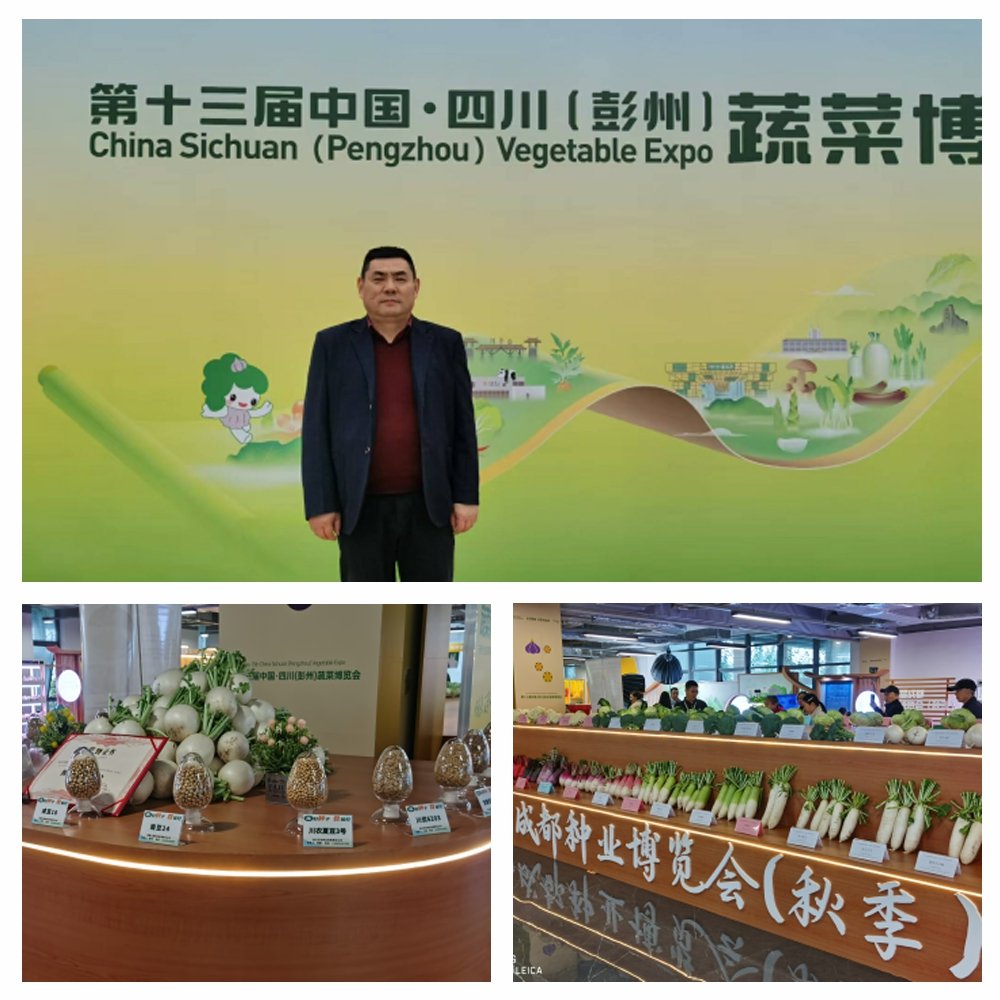 首页|bifa必发集团中国官方网站