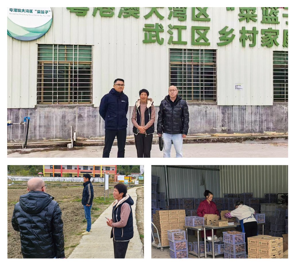 首页|bifa必发集团中国官方网站