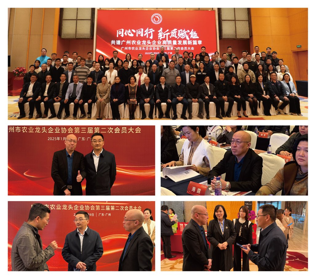 首页|bifa必发集团中国官方网站