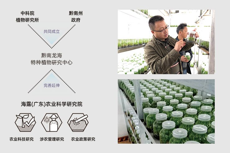 1-250210163344T0 首页|bifa必发集团中国官方网站