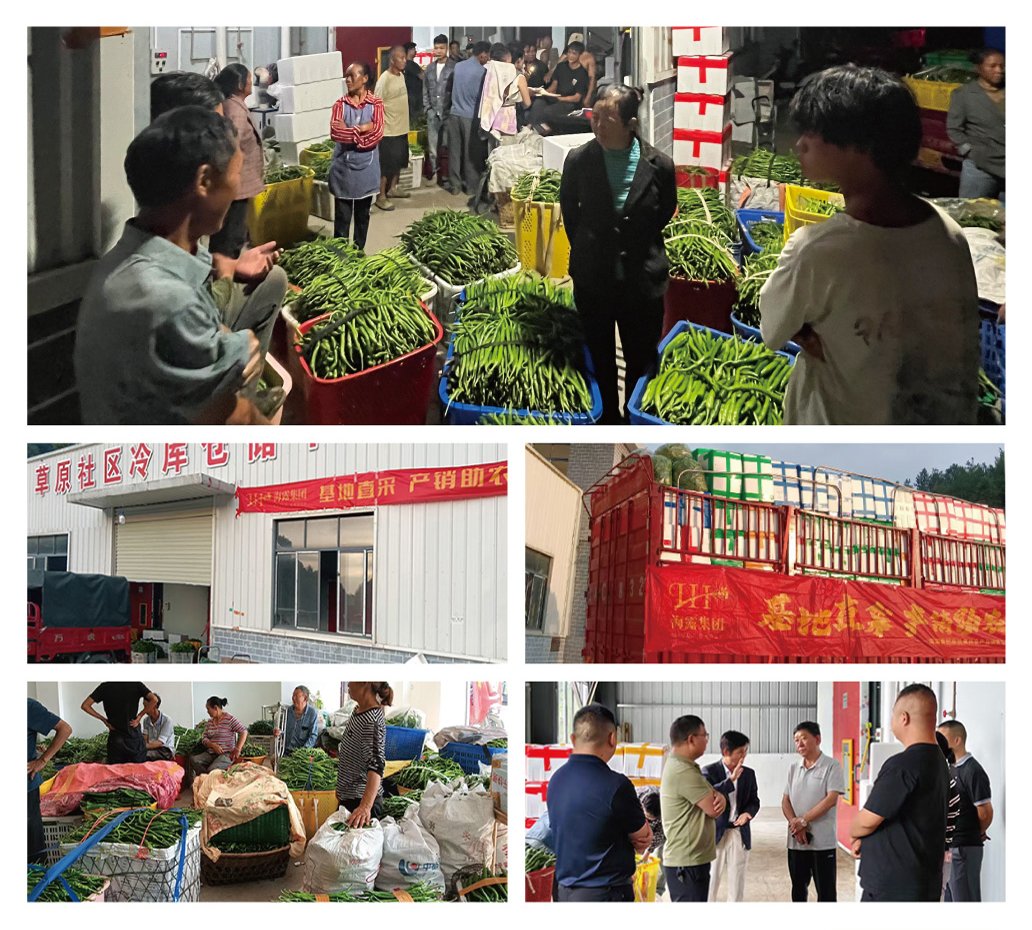 首页|bifa必发集团中国官方网站