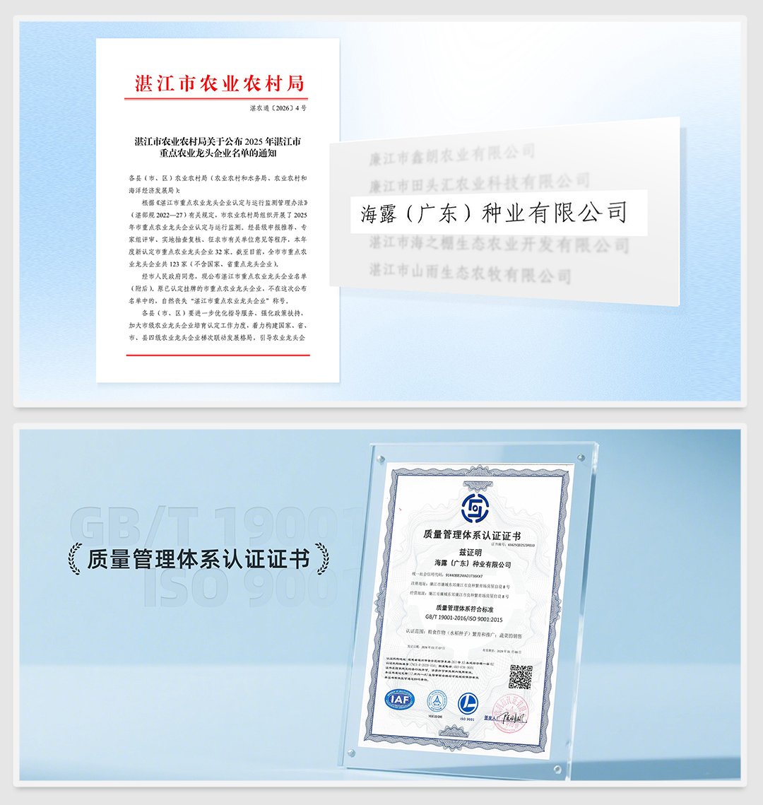 首页|bifa必发集团中国官方网站