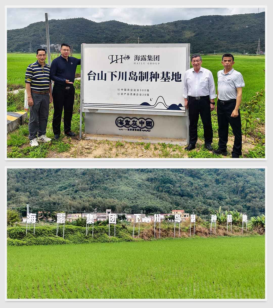 首页|bifa必发集团中国官方网站